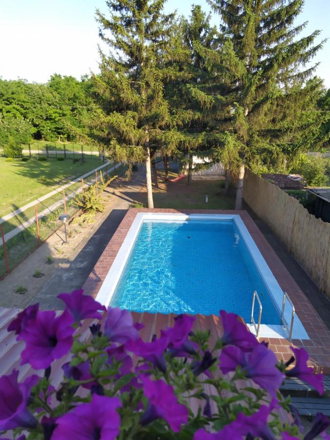 Blue Crystal Appartement Subotica Buitenkant foto